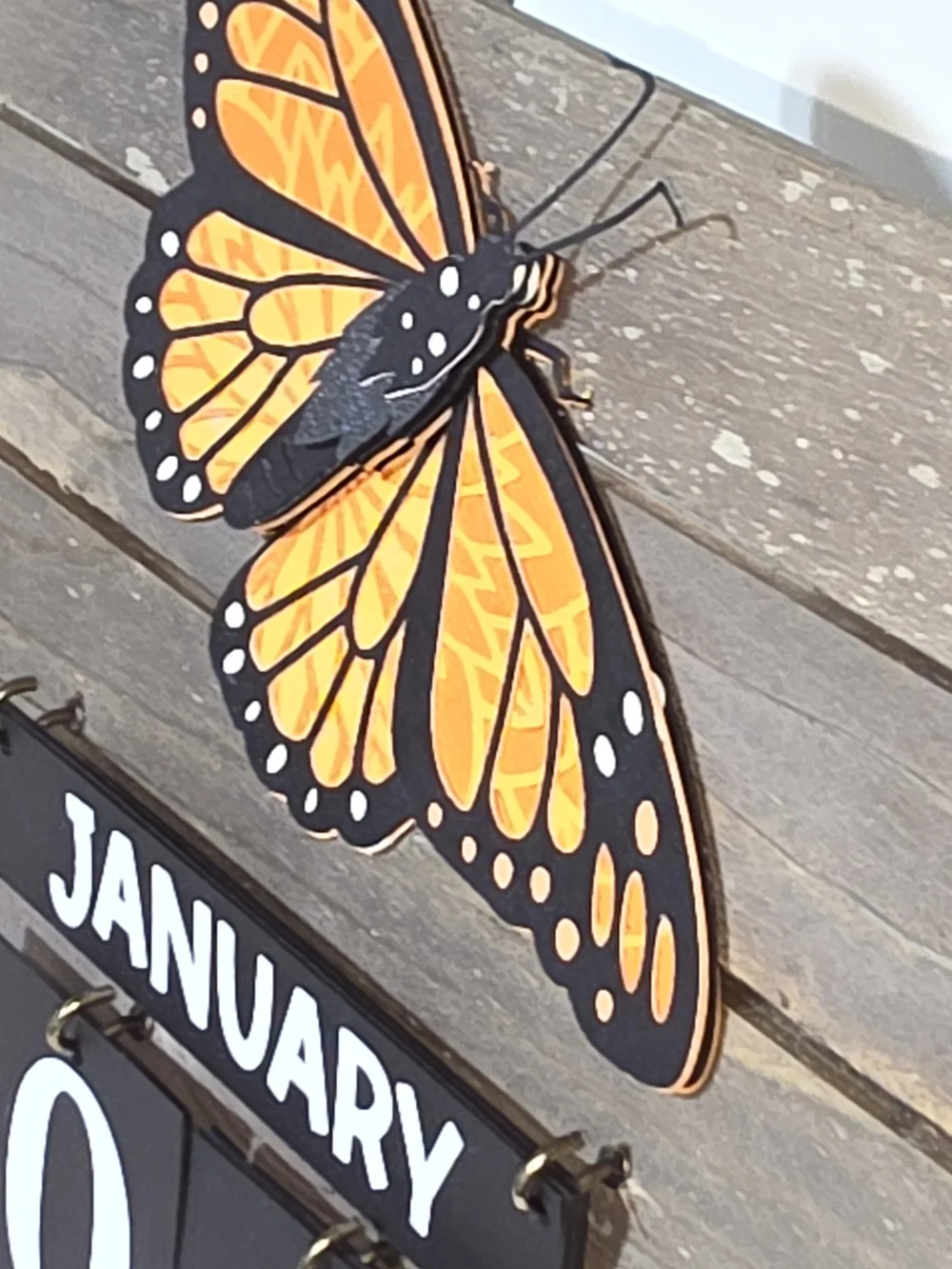 3-D MONARCH BUTTERFLY Perpetual Calendar (50% donation Included)